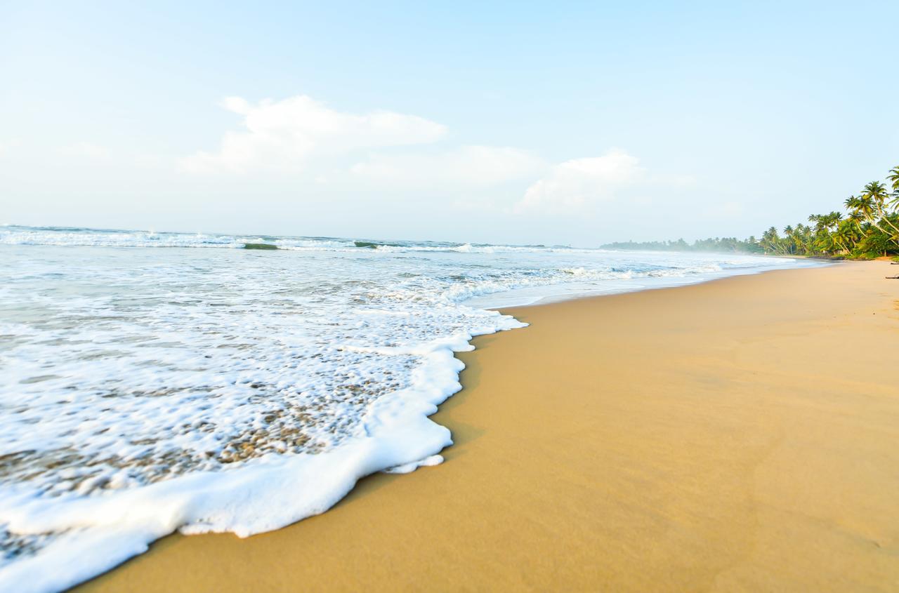 Ballena Regency Mirissa Luaran gambar